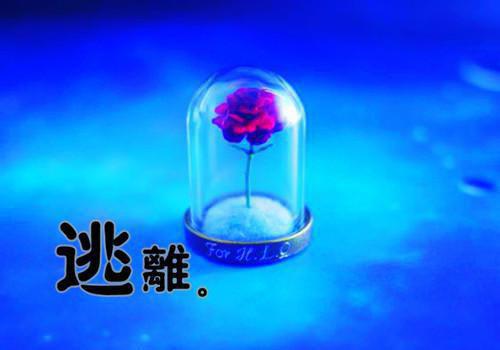 五年前的你，五年后的你