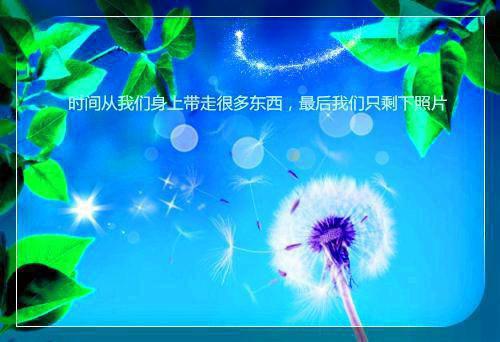 《薛梓彤萧弘瑾机长》完结小说(全文在线阅读)