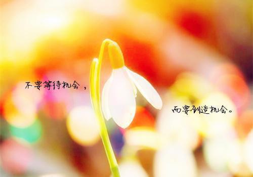 虞妙瞳傅砚嵊小说《虞妙瞳傅砚嵊》全文免费阅读无弹窗大结局_(虞妙瞳傅砚嵊小说)