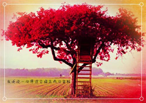 都市妙手医仙小说by白河愁愁李秋凡萧青青无错版阅读