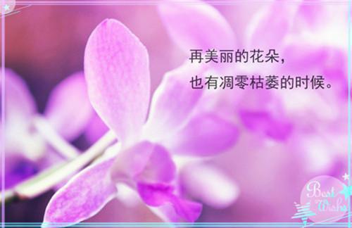 怎样学好化学作文
