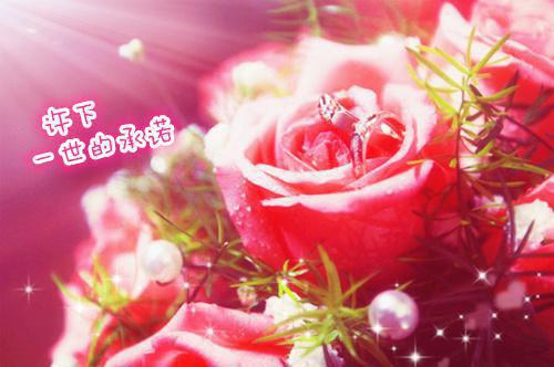 全本免费小说直播爆头世界冠军，我的身份被女主播曝光了叶池小彤完结版阅读