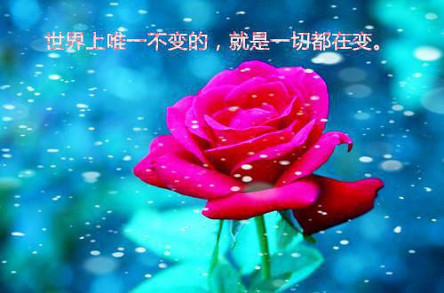 有关云裳的读后感