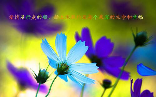 酒千岁的小说_墨爷的替嫁丑妻飒爆了叶绾绾墨夜寒小说阅读