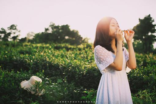 最后一头战象句好段摘抄