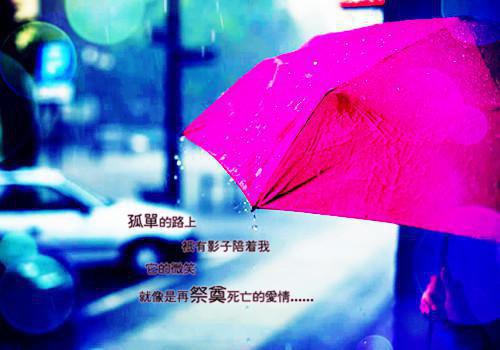 退婚后夫人美翻了小说阅读(程晚词季霆深)全本阅读