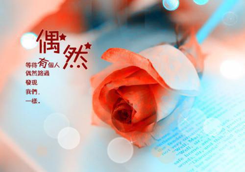 仙侠虐文九百年的相伴小说 余笙君逸雪鸢全书阅读
