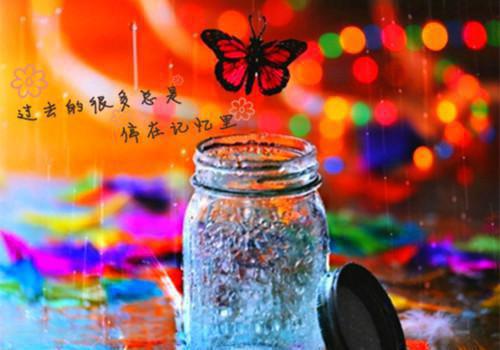 再见了母校作文600字