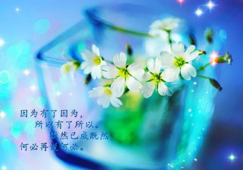 《旧情如火》全本小说_梅絮薄郡全本阅读