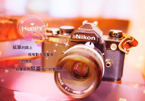 你什么都不敢，所以你什么都没有