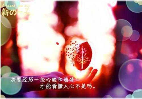 团宠七个倾国倾城师姐小说沈放萧红绸无弹窗阅读