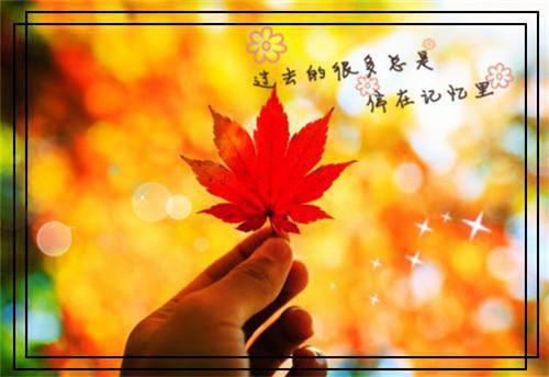 绑定万界商城系统全本小说绑定万界商城系统免费章节阅读