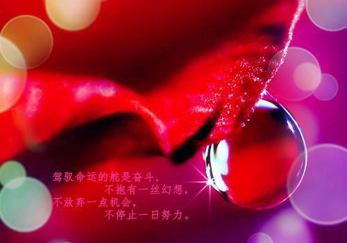 读闪闪的红星读后感