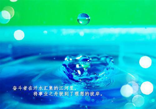 快穿之大佬不好惹小说裴音陆远新书在线阅读