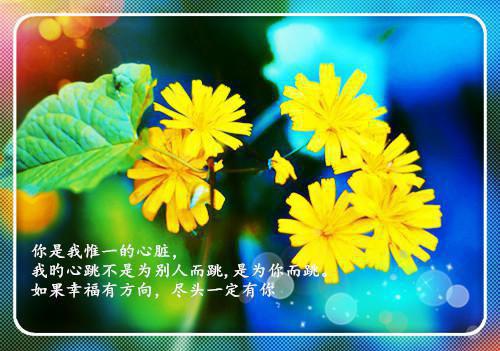 十年后的家乡环境作文