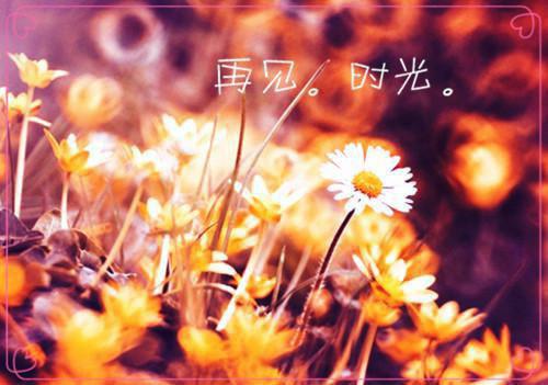 诉说思念的句子