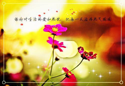 桑羡岑言礼全文（桑羡岑言礼）全文免费阅读无弹窗大结局_（桑羡岑言礼全文）桑羡岑言礼全文（桑羡岑言礼）