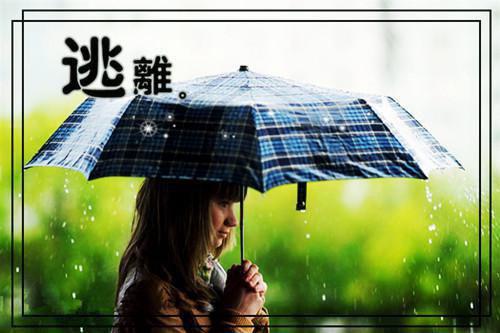 雷云唐樱小说 雷云唐樱免费阅读