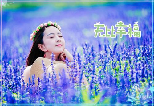 盛悠然慕易北白雪抖音南荨最新小说全文阅读