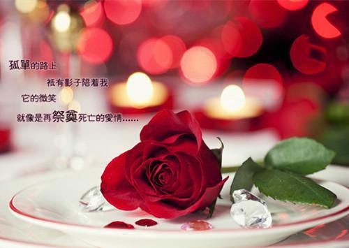 公主穿越到现代娱乐圈小说夏挽沅君时陵独家章节阅读