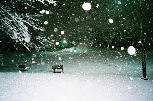 逆天藏龙小说无弹窗 楚阳夏雪在线阅读地址