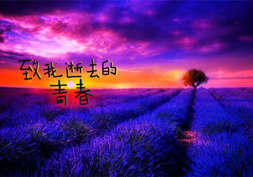 关于教师培训个人总结（精选6篇）