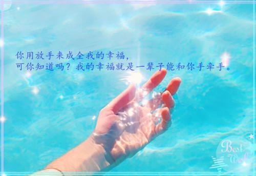 偷偷藏起来最新小说 阮念顾星辞全章节阅读