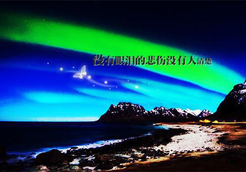 爆款小说战神王爷拐回家全文免费阅读