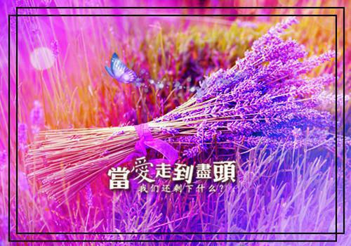 夏莹百里亦小说 夏莹百里亦867687免费阅读