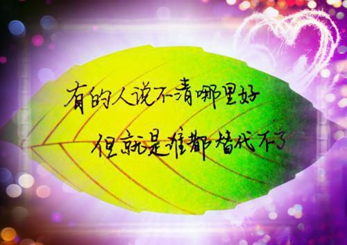 来如意盛云卿小说(双强)总裁又被五宝虐了目录阅读