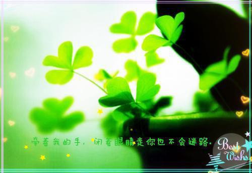 那年冬天的小说_超级大反派的自我修养江庭川,张阳大结局阅读
