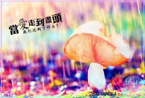 我不是修仙高手小说 男女主角莫凡叶灵全章节阅读
