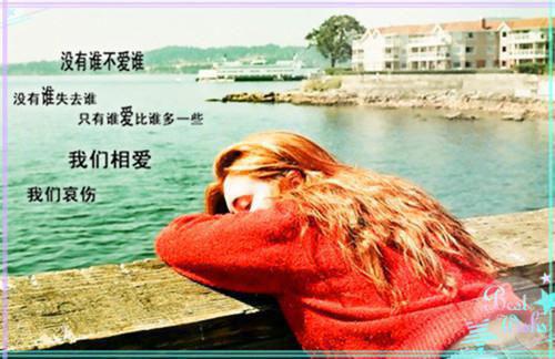 精彩小说皇上养后日常林舟徊李峤全文免费阅读