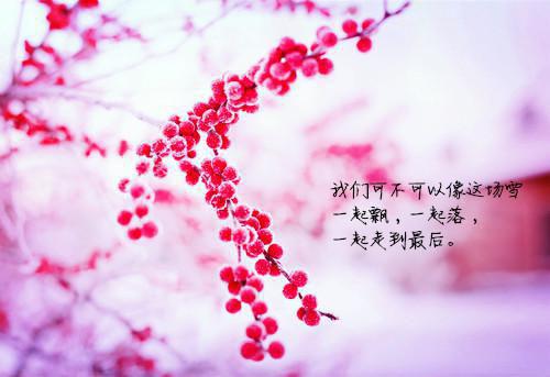 万小烟写的小说陆景之池涵机长小说全文阅读
