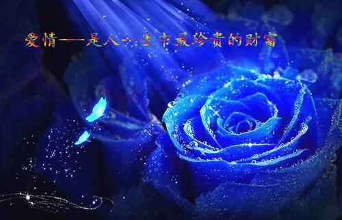失宠王妃请自重秦落烟傅子墨 失宠王妃请自重免费阅读