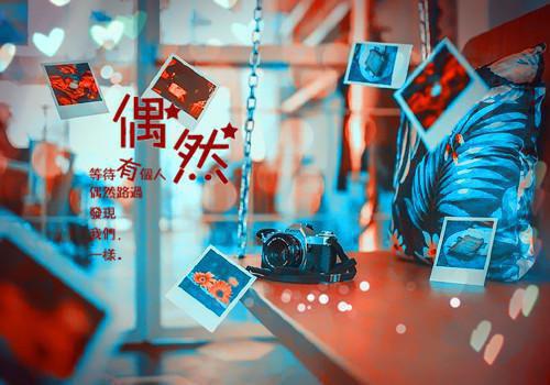 月光在逃小说完整版免费阅读全文_月光在逃在线阅读全文最新章节列表