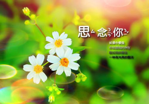 带着一张欠条来收债小说名字连载陈诺依叶凌章节阅读