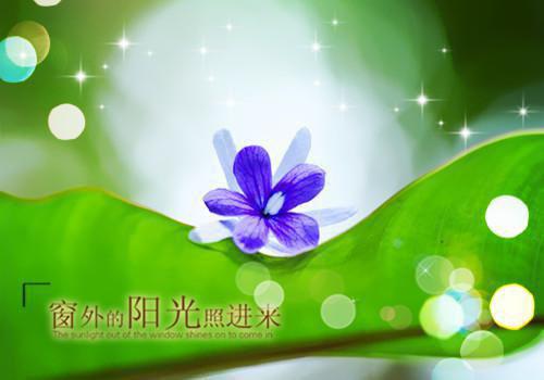 家风作文400字