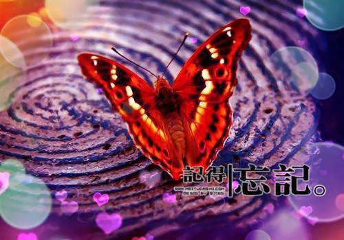 《2022203温青唯江玄瑾》小说完整章节2022203温青唯江玄瑾免费阅读