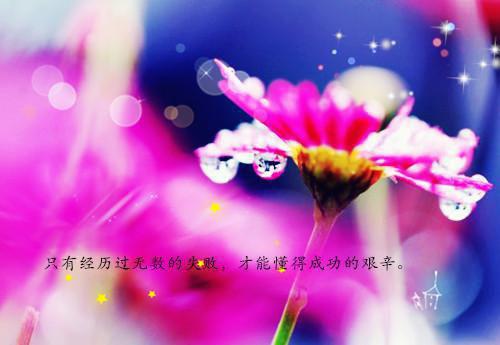 无双霸帝不信邪小说全章节最新阅读