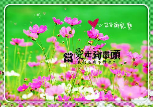 王妃她很飒很嚣张格鲁特小说免费阅读