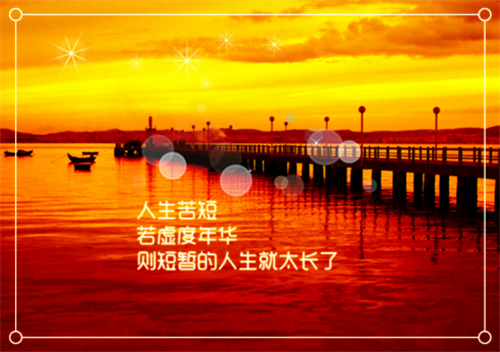 短篇小奶兔好甜呀小说林招招陈寂全篇章阅读