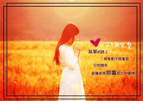 毛主席践论读后感