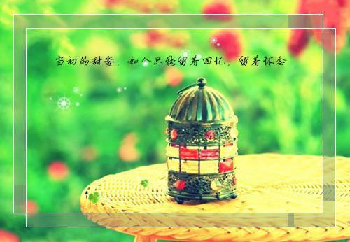 末世农女穿越古代小说许小鱼傅承彦无错版阅读