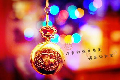 斑羚飞度读后感