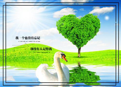 [完结]我在宋朝建设盛世全章节阅读