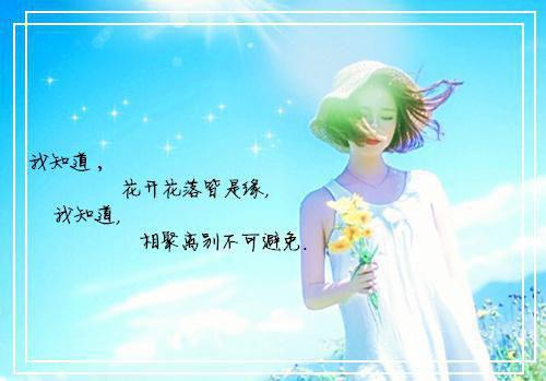 订婚笑话（江妄秦枝陆祈川）免费小说_订婚笑话最新章节
