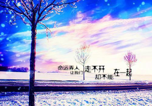 《无边妄念》沈未苏,周砚怀小说全文完整版阅读