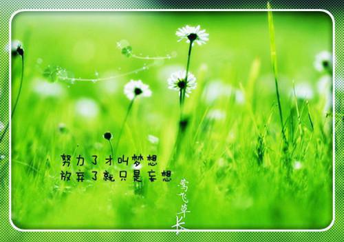 秦锋纪嫣然小说 秦锋纪嫣然天下无双免费阅读