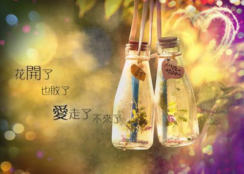 新上《愿得一人心花清欢》风闹小说免费阅读